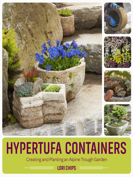 Title details for Hypertufa Containers by Lori Chips - Wait list